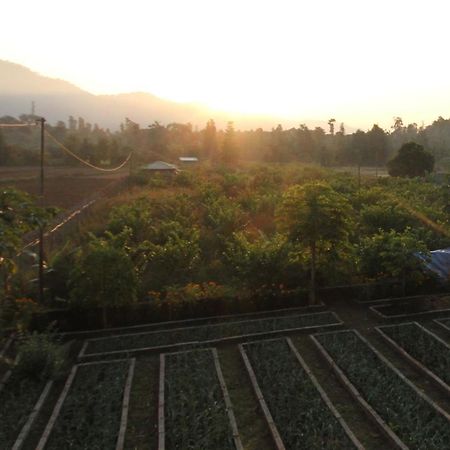 Forest Side Farm - Homestay At Kotabagh Near Nainital And Jim Corbett Kota Bāgh Exterior foto