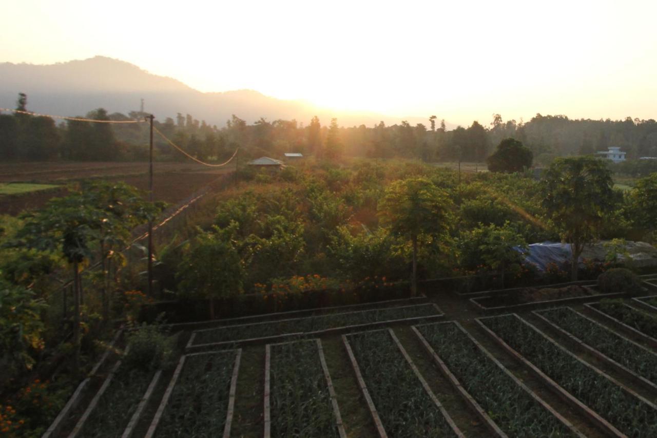 Forest Side Farm - Homestay At Kotabagh Near Nainital And Jim Corbett Kota Bāgh Exterior foto